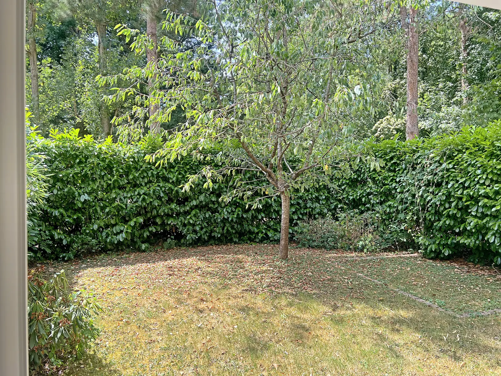 Photo  Appartement T5 de 95m2, 3 chambres avec jardin et parking